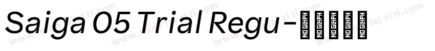 Saiga 05 Trial Regu字体转换